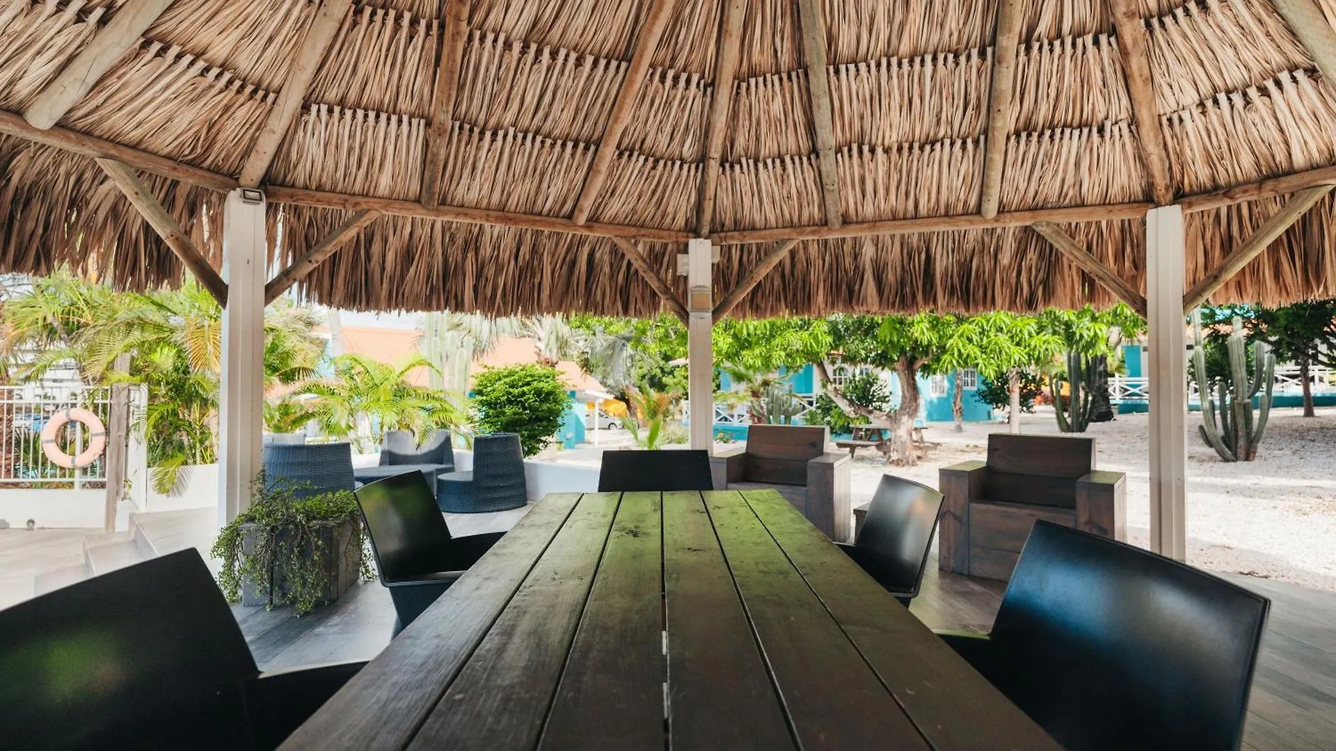 Bon Bini Resort Curacao Βίλλεμσταντ Πάρκο διακοπών