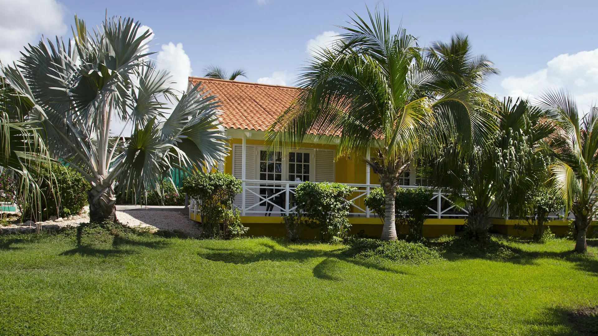 Bon Bini Resort Curacao Βίλλεμσταντ Πάρκο διακοπών