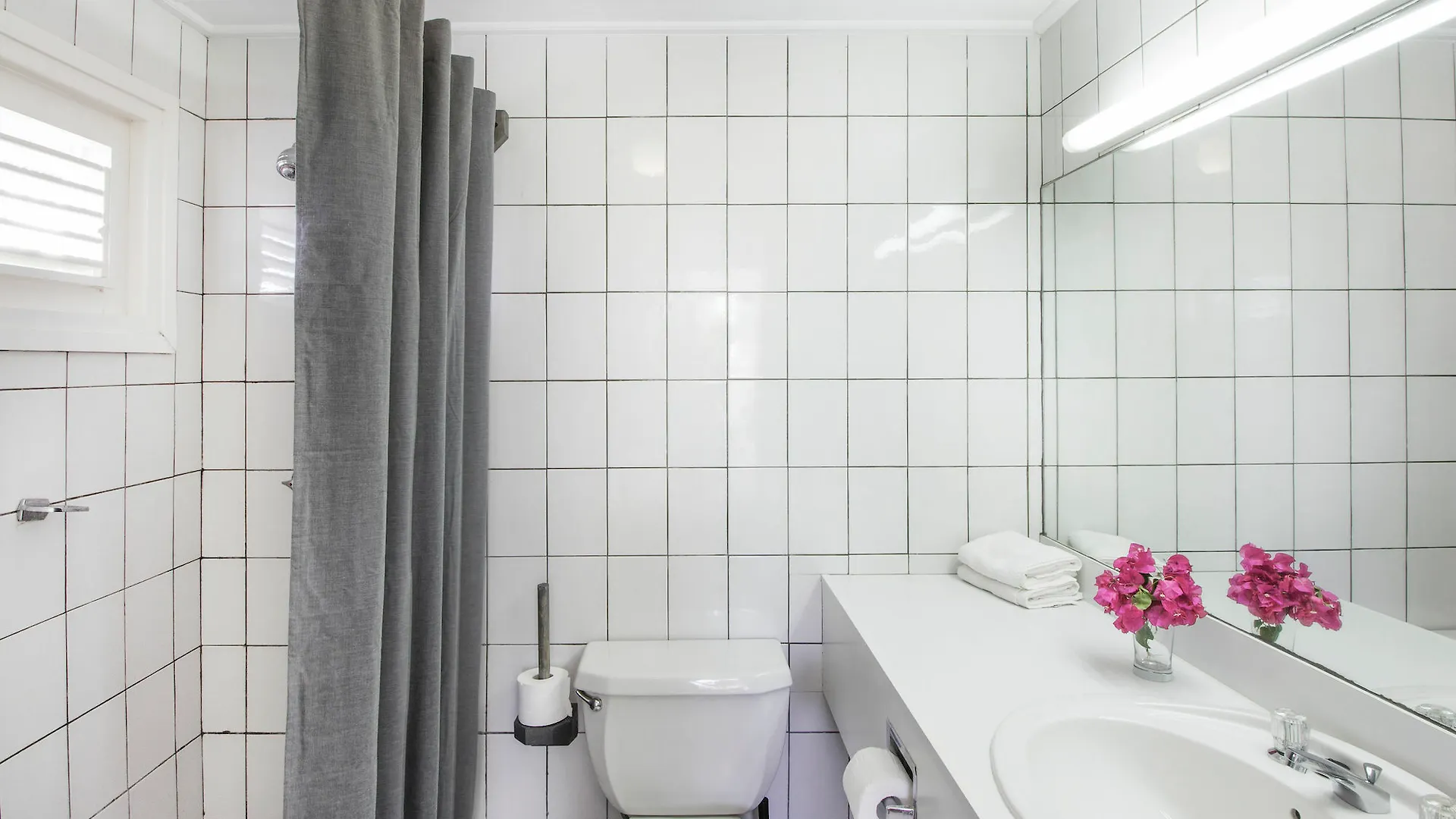 Bon Bini Resort Curacao Βίλλεμσταντ Πάρκο διακοπών